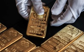 Ngày 7/4: Giá vàng trong nước chạm ngưỡng 82 triệu đồng/lượng