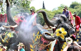 Du lịch Thái Lan và TikTok "bắt tay" quảng bá lễ hội Songkran 2024