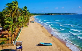 Sri Lanka thu hút du khách trải nghiệm vẻ đẹp "mùa Xanh"