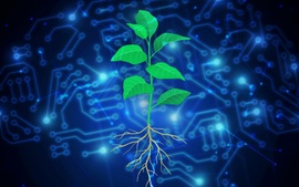 Cách mạng xanh: Sử dụng AI tạo ra cây trồng hấp thụ carbon chống biến đổi khí hậu