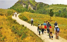 Xu hướng du lịch làm mát với Sa Pa, Việt Nam nổi lên trong các điểm đến mát lạnh hè 2024