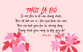 Bài thơ “Thời lá đỏ” vào đề khảo sát môn Ngữ văn tỉnh Quảng Ninh