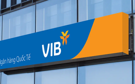 Nhân viên VIB được thưởng 11 triệu cổ phiếu, bạn cũng có thể được?