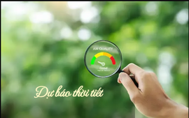 Sử dụng trí tuệ nhân tạo (AI) dự báo thiên tai có tốt không?