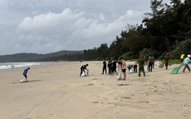 Quảng Ninh: Chung tay làm sạch bãi biển Cô Tô
