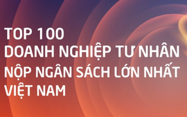 Các doanh nghiệp "họ Vin" dẫn đầu danh sách nộp ngân sách nhà nước