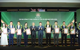 Top 50 Công ty Đại chúng uy tín và hiệu quả