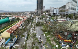 Siêu bão Yagi và hành động ngay từ hôm nay