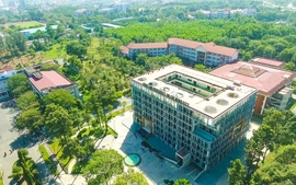 Trường Đại học Nông lâm Thành phố Hồ Chí Minh xét tuyển bổ sung cho phân hiệu