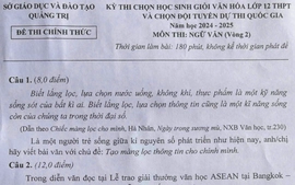 Đề thi chọn học sinh giỏi Ngữ văn quốc gia: Tạo màng lọc thông tin cho chính mình