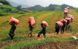 Sa Pa: Sơ tán dân, di chuyển tài sản tránh hoàn lưu bão số 3