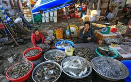 Chuyển sang kê khai thuế định kỳ từ 2026: Có cách hỗ trợ miễn phí