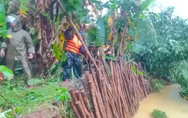 Sạt lở bờ sông tại Chân Mây - Lăng Cô, thành phố Huế khẩn trương ứng phó, bảo vệ nhà dân