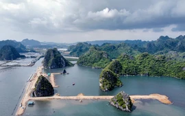 Quảng Ninh đồng ý tái khởi động dự án Khu đô thị 10B Quang Hanh