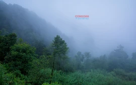 Thời tiết miền Bắc chuyển lạnh từ hôm nay (30/10)