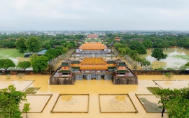 Chính phủ Liên bang Nga viện trợ quốc tế khẩn cấp cho người dân bị ảnh hưởng bởi thiên tai tại thành phố Huế