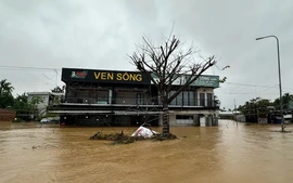 Khả năng xuất hiện 1 đợt lũ - Nghệ An, Hà Tĩnh, Quảng Trị khẩn trương triển khai đảm bảo an toàn đê điều