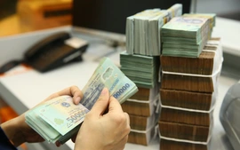 Hoàn thành chi trả chế độ cho người nghỉ hưu theo Nghị định 178, Nghị định 67 trước 10/10