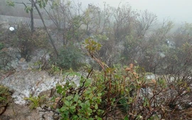 Từ đêm nay (17/11), thời tiết Bắc Bộ chuyển rét