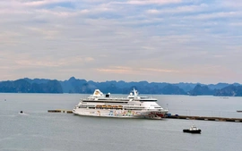 520 đơn vị du lịch hội tụ ở "Ngày Lữ hành Việt Nam 2025" tại Quảng Ninh