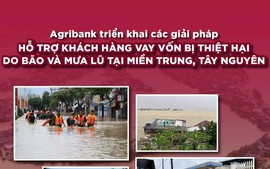 Agribank triển khai chính sách giảm 2% lãi suất cho vay hỗ trợ khách hàng bị thiệt hại do bão và mưa lũ