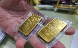 Giá vàng trong nước ngày 25/11 tăng 2 triệu đồng/lượng