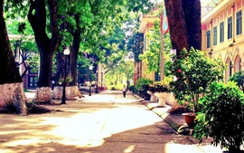 Tăng thu nhập từ dạy vượt giờ: Cơ hội cải thiện đời sống cho giáo viên