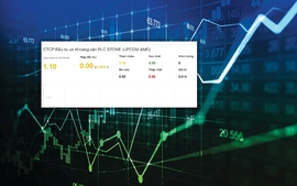 Đơn vị của FLC lại 'dính' vi phạm