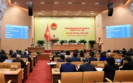 Mức học phí đối với các cơ sở giáo dục mầm non, giáo dục phổ thông công lập chất lượng cao tại Hà Nội