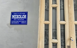 Liên minh nhà đầu tư Mekolor và Great (USA) được Chính phủ mời họp về Dự án đường sắt tốc độ cao nhưng không dự