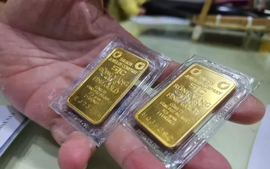 Giá vàng ngày 7/11 biến động như thế nào?