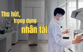 Lương, thưởng và câu chuyện thu hút nhân tài