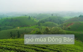 Thông tin cập nhật về đợt gió mùa Đông Bắc 