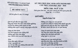 Đề thi học sinh giỏi Ngữ văn: Thơ ca chấp nhận nhiều sắc thái của ngôn ngữ