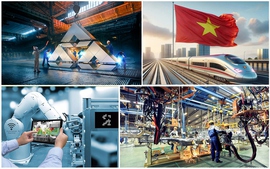 Doanh nghiệp "điểm danh" tại Top 50 công ty đại chúng uy tín và hiệu quả