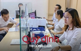 Trường hợp vi phạm nào bị đình chỉ thi công chức
