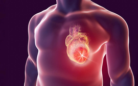 Phát minh miếng dán vi kim chữa lành và phục hồi tim do nhồi máu cơ tim