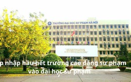 Bộ Giáo dục và Đào tạo dự kiến sáp nhập cao đẳng sư phạm vào đại học sư phạm