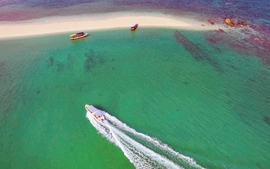 Quảng Ninh thành lập Khu bảo tồn biển Cô Tô - Đảo Trần