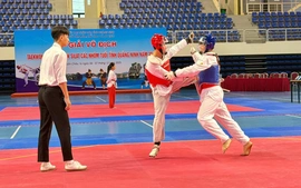 357 vận động viên tham gia Giải vô địch Pencak Silat – Taekwondo tỉnh Quảng Ninh