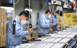 Gần 178.000 doanh nghiệp đăng ký thành lập mới trong 11 tháng qua