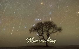 Vui gì mưa sao băng rực rỡ?