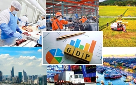 Thủ tướng yêu cầu những việc cần làm ngay sau kỳ nghỉ Tết nguyên đán Ất Tỵ 2025