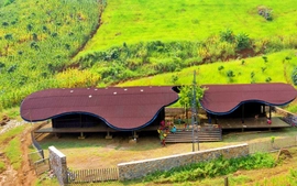 Phát triển khuyến soi keo bong da truc tiep hom nay xanh trong hệ thống giáo dục chuyển đổi xanh