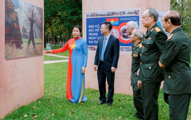 Hà Nội: Triển lãm đặc biệt tại Công viên Thống Nhất