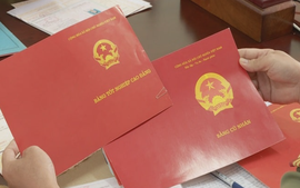 Bắc Giang: Khởi tố 2 giáo viên có hành vi làm, sử dụng văn bằng giả