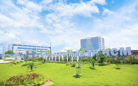 Một đại bong da truc tiep ngoai hang anh được Liên Hợp Quốc bổ nhiệm làm Phó Chủ tịch SDG 11