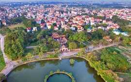 Sử dụng địa danh "Cổ Loa" để đăng ký nhãn hiệu tập thể nông sản