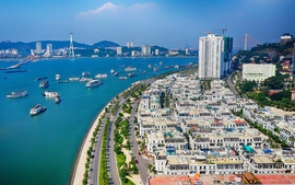 Quảng Ninh: “Bình dân học vụ số” không chỉ “xoá mù” công nghệ mà phải thành thạo các kỹ năng số