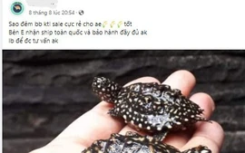 10 nhóm chuyên rao bán động vật hoang dã bị gỡ bỏ vĩnh viễn trên không gian mạng